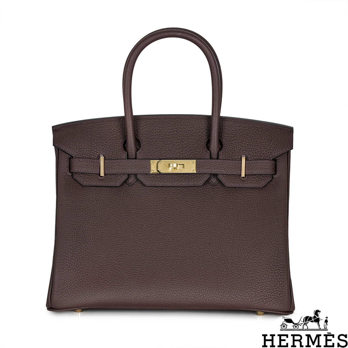 Hermes Horse Drawn Birkin Bag  Hermes birkin, Hermes birkin 35cm